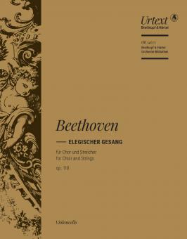 Elegischer Gesang op. 118 