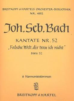 Falsche Welt, dir trau ich nicht 