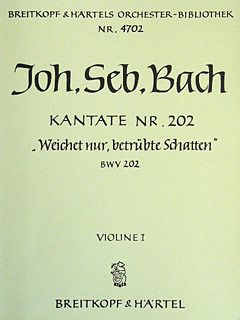 Weichet nur, betrübte Schatten 