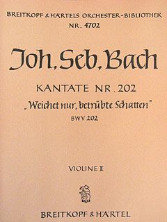 Weichet nur, betrübte Schatten 