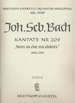 Non sa che sia dolore / Was Schmerz sei und was Leiden 