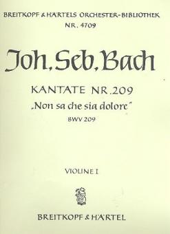 Non sa che sia dolore / Was Schmerz sei und was Leiden 