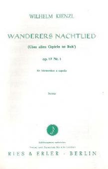 Wanderers Nachtlied op. 17/1 