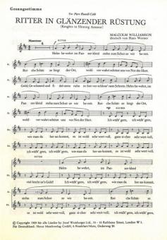 Ritter in glänzender Rüstung 