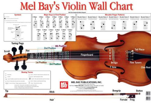 Violin Wall Chart 