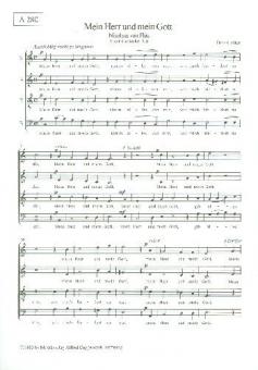 Mein Herr und mein Gott 