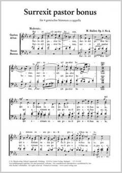 Surrexit pastor bonus 