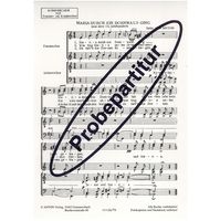 Maria durch ein Dornwald ging a.c. 