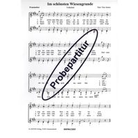 Im schönsten Wiesengrunde 