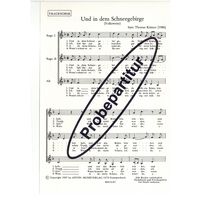 Und in dem Schneegebirge 