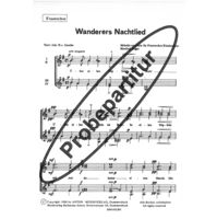 Wanderers Nachtlied 