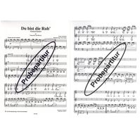 Du bist die Ruh' 