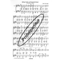 Heil'ge Nacht auf Engelsschwingen 