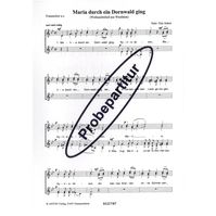 Maria durch ein Dornwald ging 