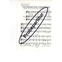 Vom Himmel hoch, o Engel kommt 