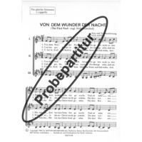 Von dem Wunder der Nacht 