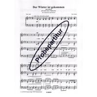 Der Winter ist gekommen 