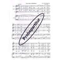 Puer natus in Bethlehem 