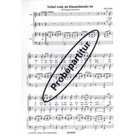 Schlaf wohl, du Himmelsknabe du 