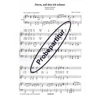 Stern, auf den ich schaue 