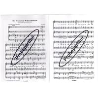 Der Traum vom Weihnachtsbaum 