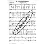 Es wird schon gleich dunkel 