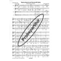 Maria durch ein Dornwald ging 