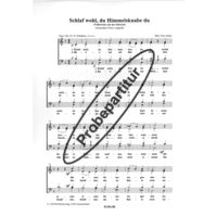 Schlaf wohl, du Himmelsknabe du 