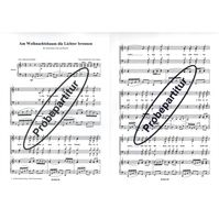 Am Weihnachtsbaum die Lichter brennen 