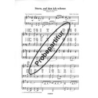 Stern, auf den ich schaue 