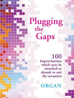Plugging the Gaps 