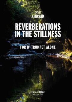 Reverberations in the Stillness Standard