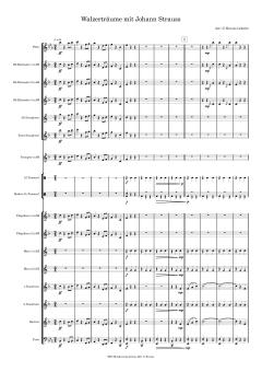 Walzerträume mit Johann Strauss Standard