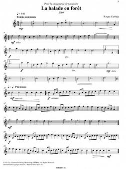 Playing Together 2010 