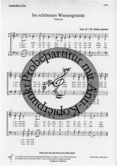 Im schönsten Wiesengrunde 