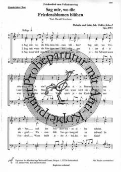 Sag mir, wo die Friedensblumen blühen 