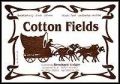Cotton Fields 
