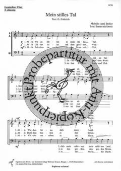 Mein stilles Tal 
