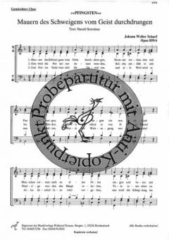 Mauern des Schweigens 