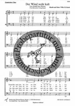 Der Wind weht kalt 