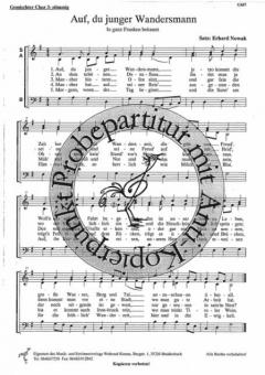 Auf, du junger Wandersmann 