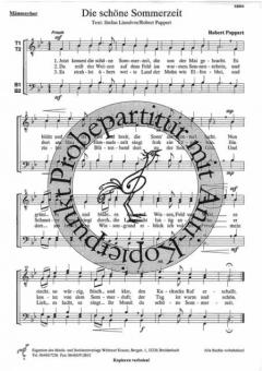 Die schöne Sommerzeit 