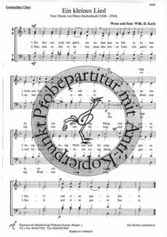 Ein kleines Lied 