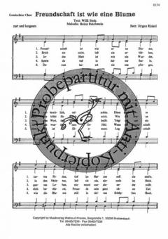 Freundschaft ist wie eine Blume 