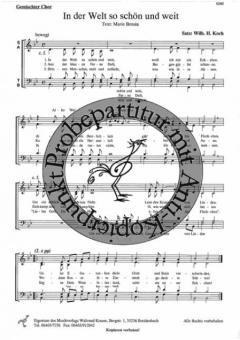 In der Welt so schön und weit 