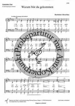 Warum bist du gekommen 