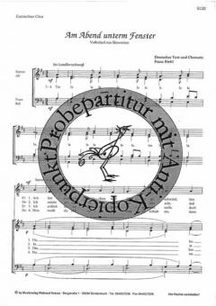 Am Abend unterm Fenster 