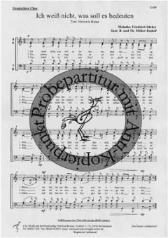 Ich weiss nicht, was soll es... 