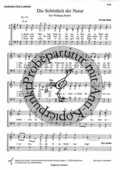 Die Schönheit der Natur 