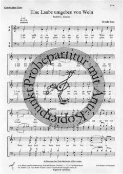 Eine Laube umgeben von Wein 